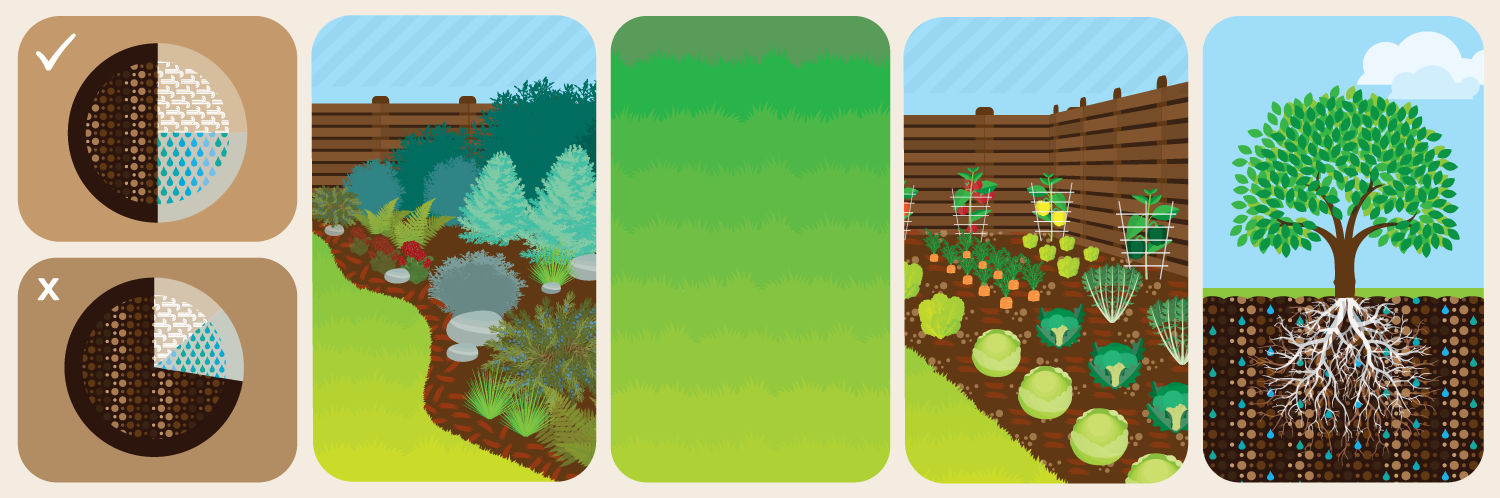 Drought-Proofing Your Yard