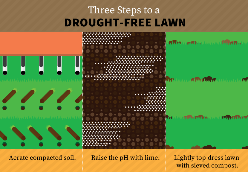 Drought Proofing Your Property: Three Steps to a Drought Resistant Lawn: Aerate, Lime, and Compost