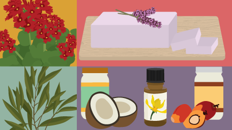 Soap Making Basics