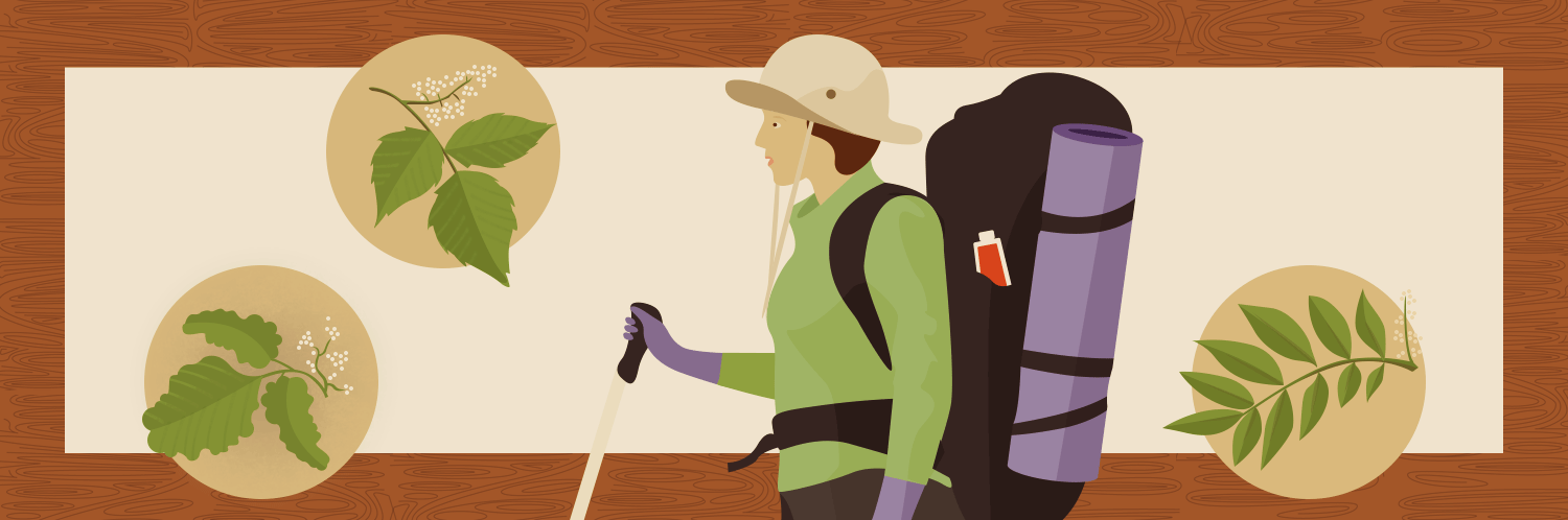How to Prevent Contact With Poisonous Plants