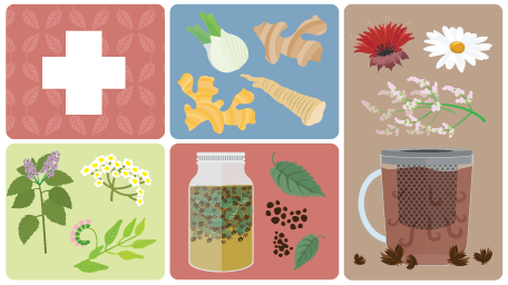Growing Medicinal Herbs and Plants at Home