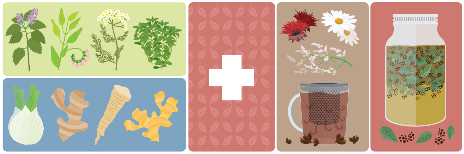 Growing Medicinal Herbs and Plants at Home