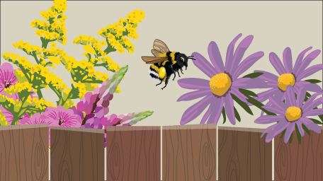 Creating a Pollinator-Friendly Garden