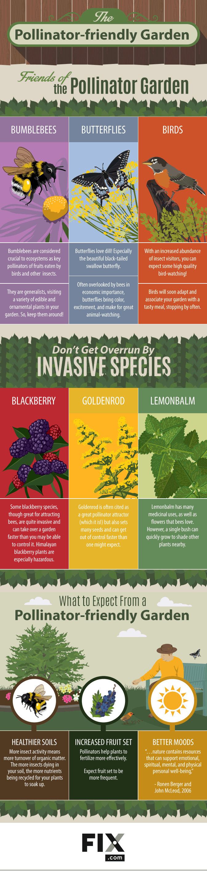 Creating a Pollinator-Friendly Garden