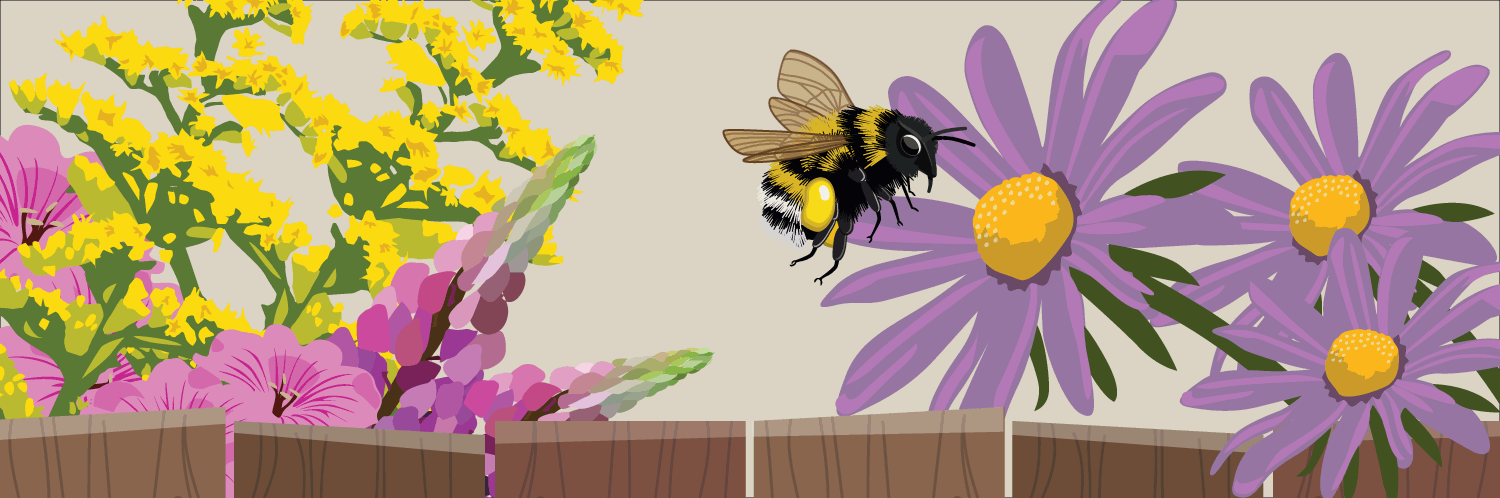 Creating a Pollinator-Friendly Garden