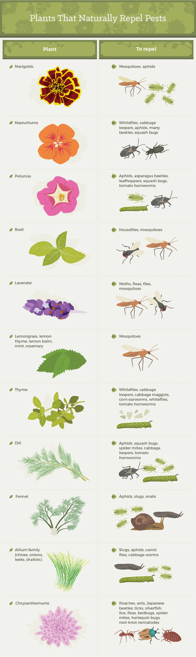 Plants that Naturally Repel Pests