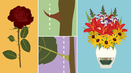 Flower Arranging for Beginners