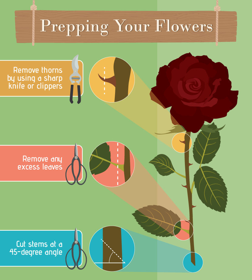 Prepping Your Flowers