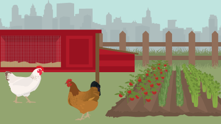 Hobby Farming