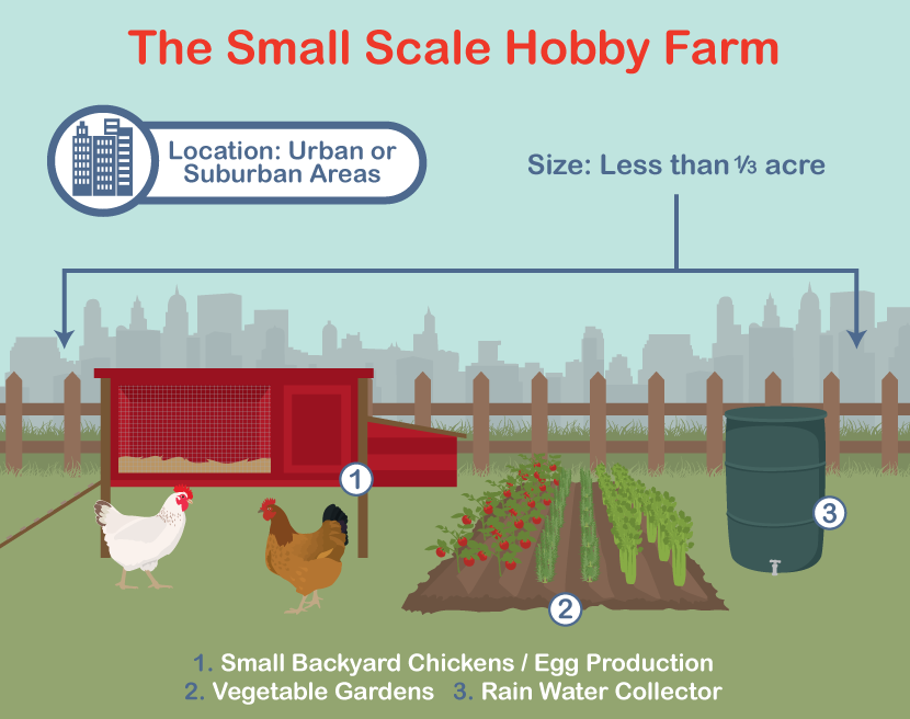 Hobby farming in smaller spaces