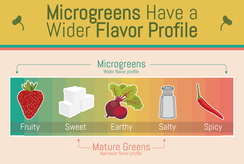 Microgreens: Flavor Profiles