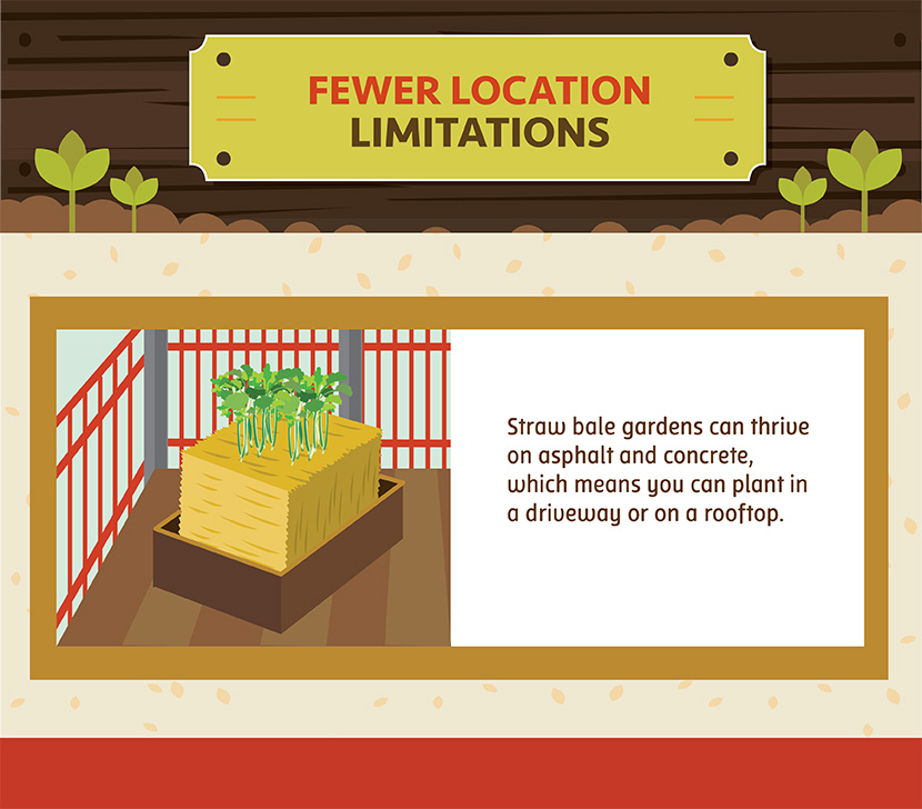 Straw Bale Gardening: Fewer Location Limitations