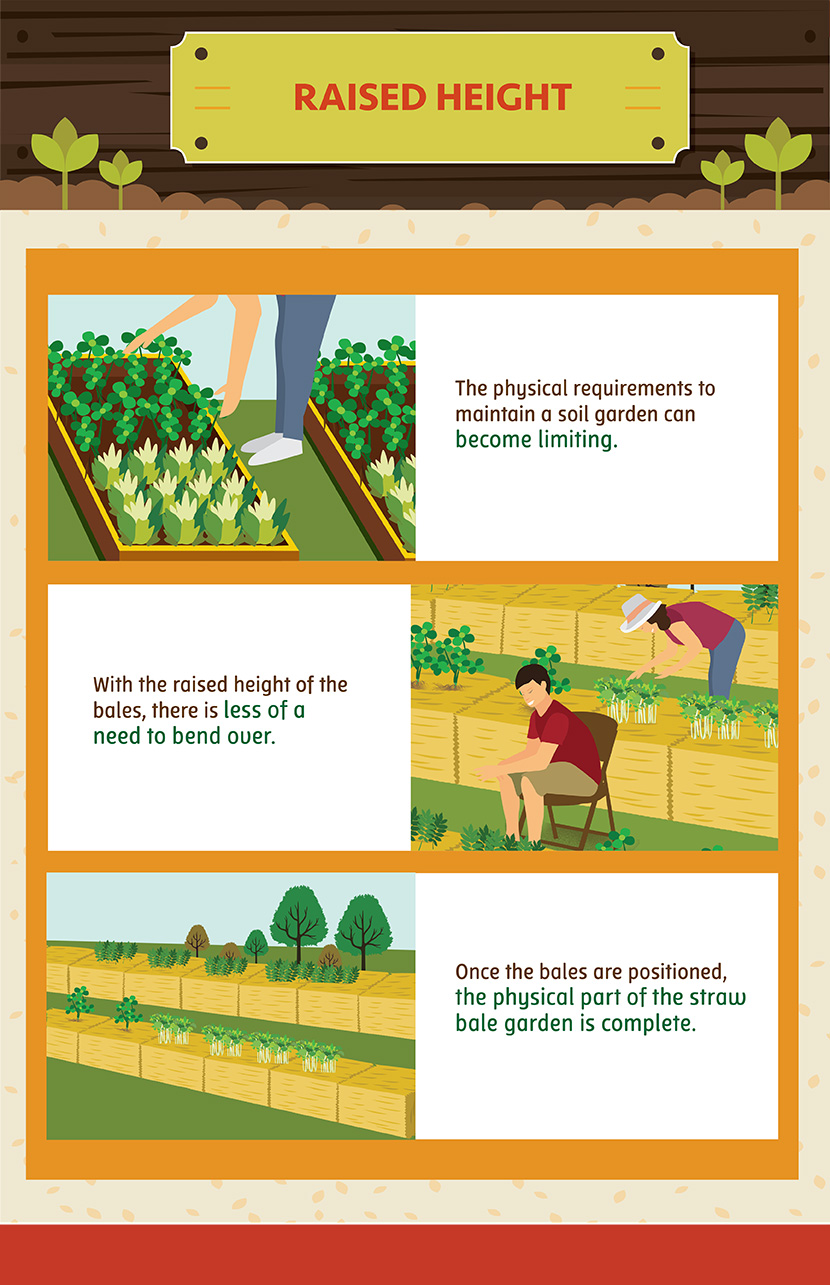 Straw Bale Gardening: Raises The Height Of The Plants