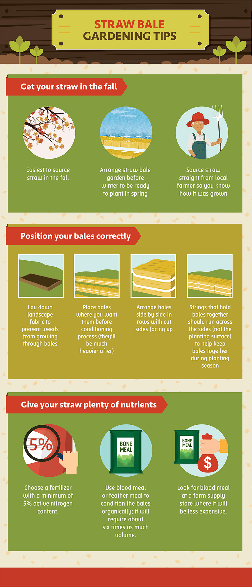 Straw Bale Gardening: Tips