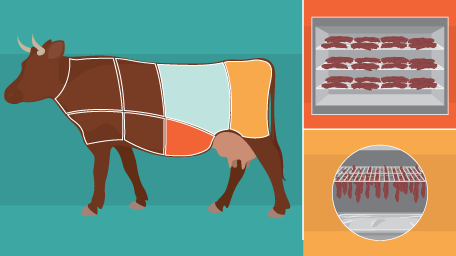 Make the Best Beef Jerky at Home