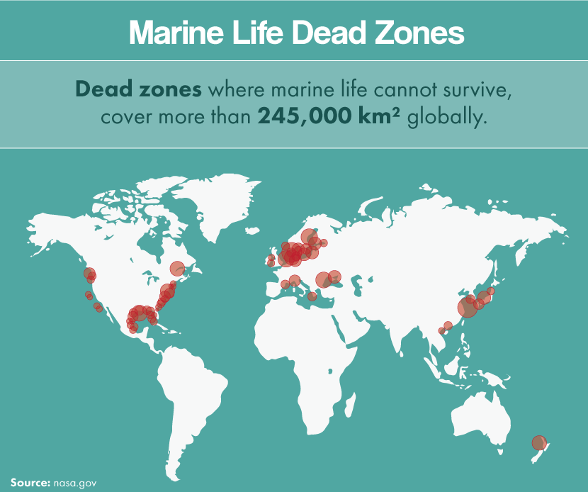 The Effects Of Ocean Dead Zones On