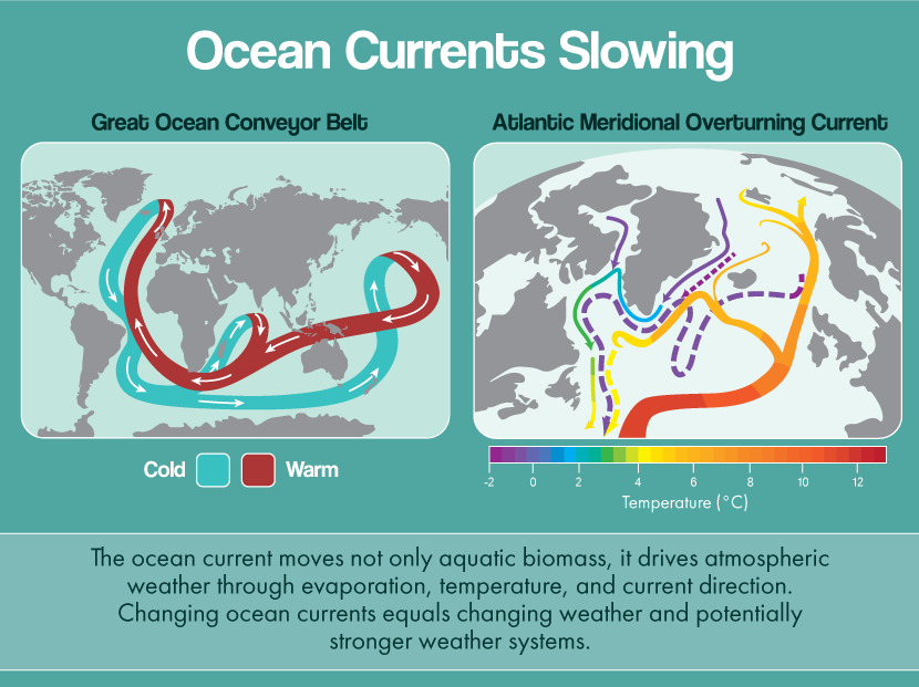 Ocean Currents Slowing