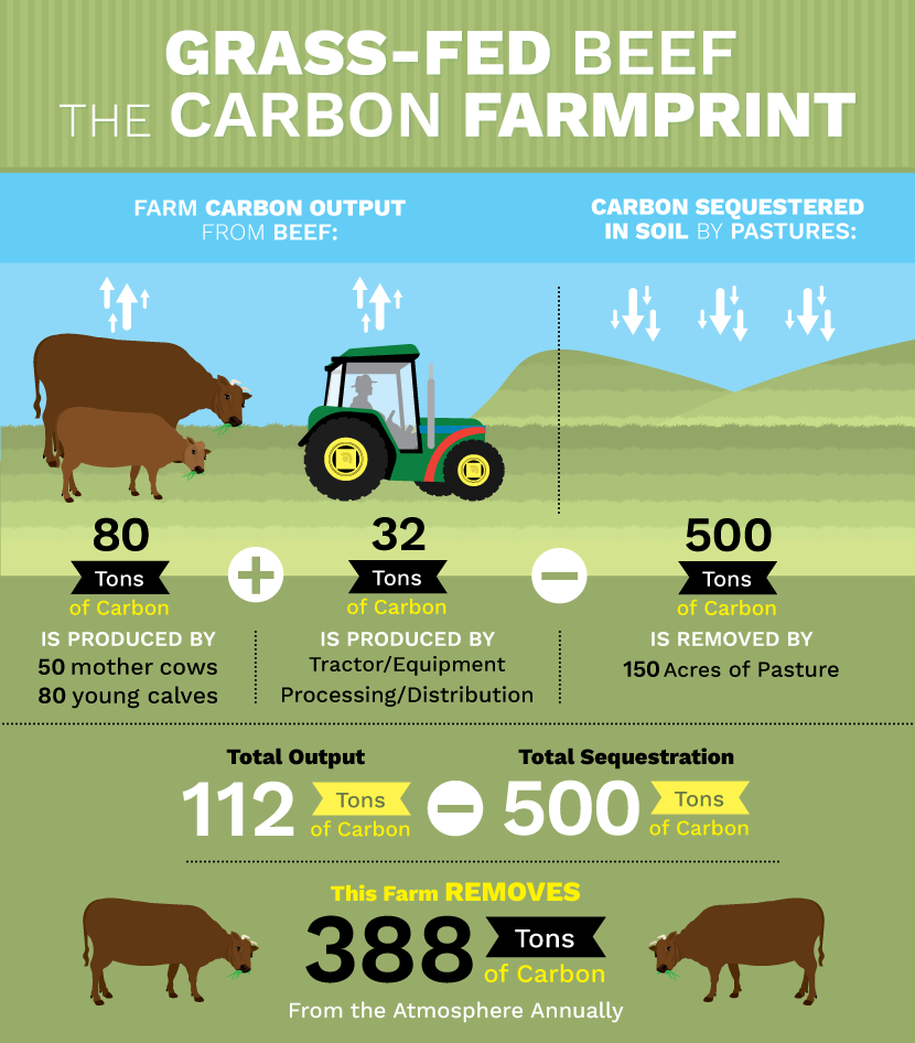 Grass Fed Beef: Cow's Carbon Footprint