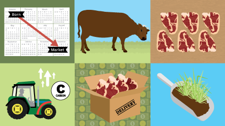 Guide to Grass-Fed Beef