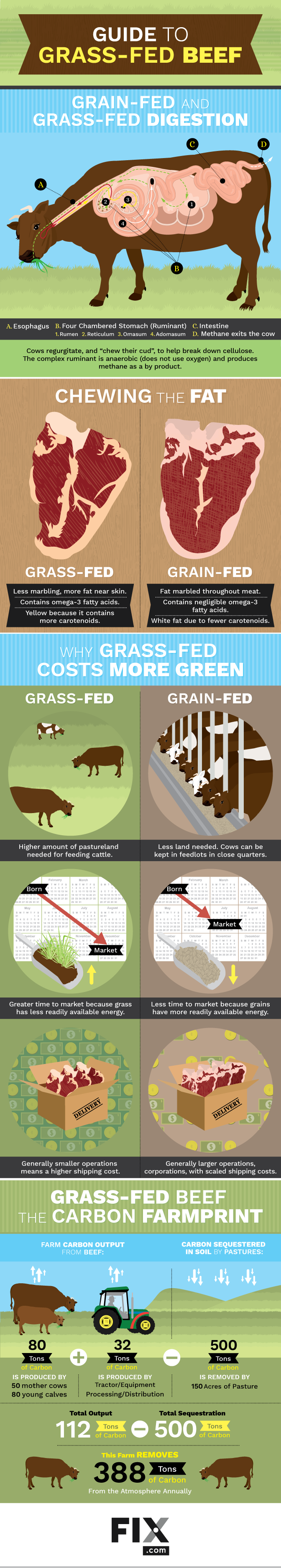Guide to grass fed beef. Nutritional value of your food