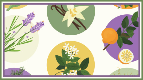 Healing Scents: Plant an Aromatic Garden