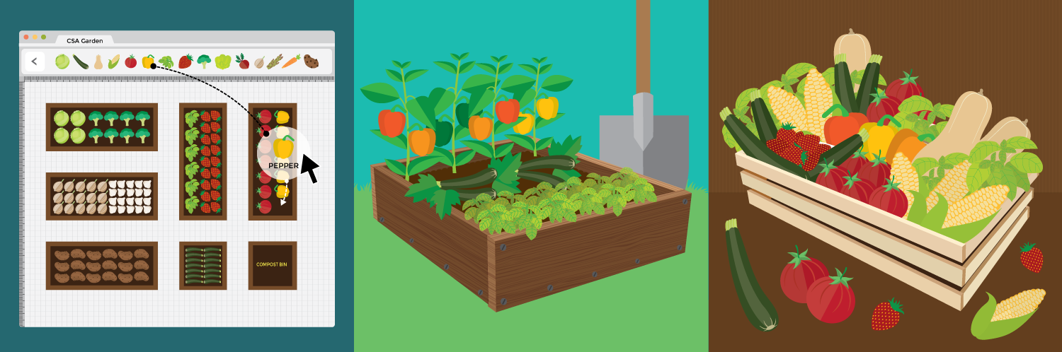 Starting a CSA