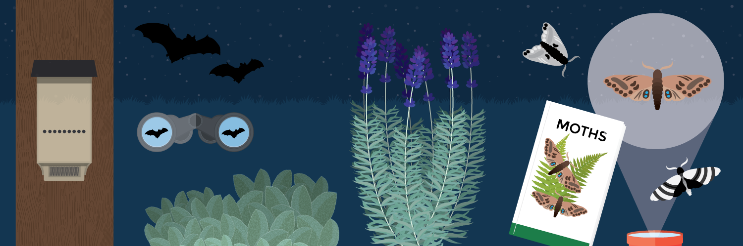 Night Gardening