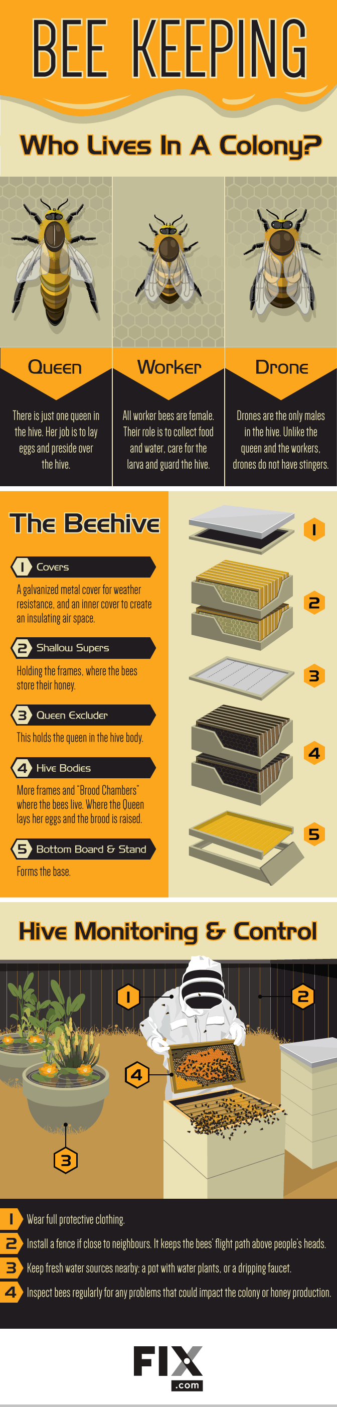 Become a Backyard Beekeeper