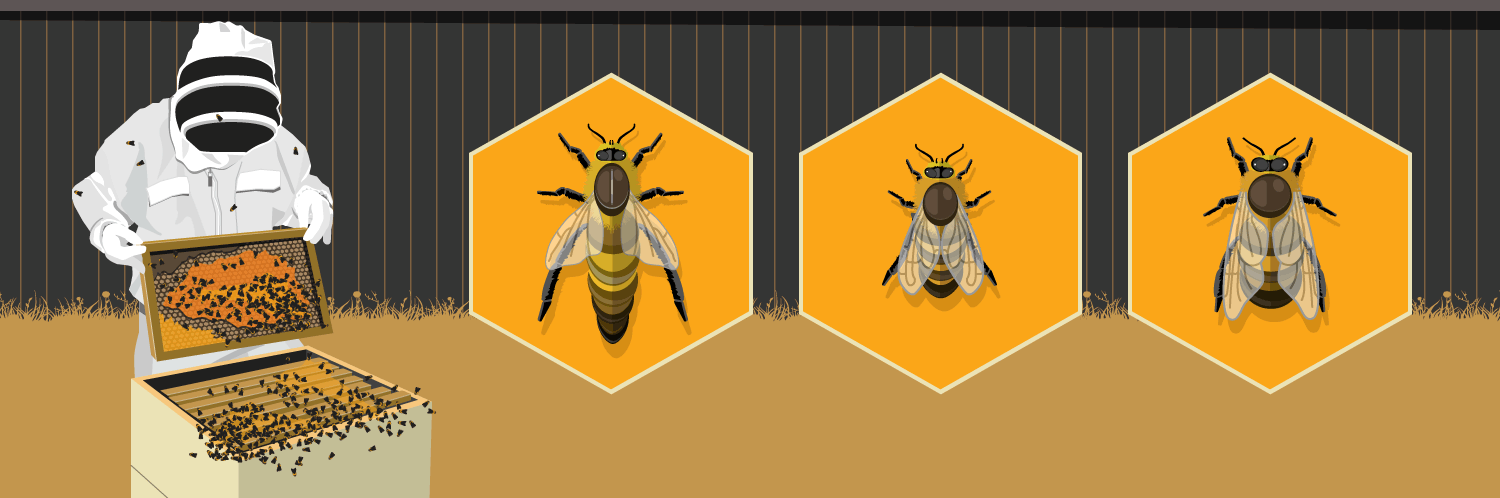 Become a Backyard Beekeeper