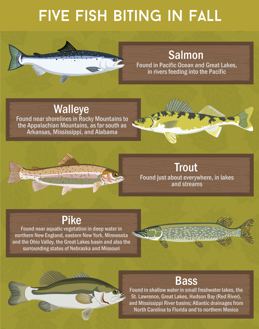 Best Fish for Fall