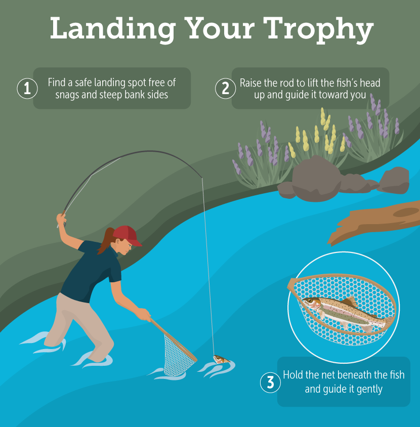 Landing Your Trophy
