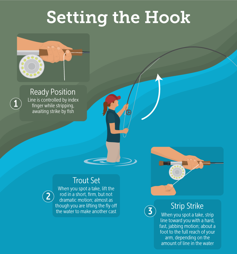 Setting the Hook