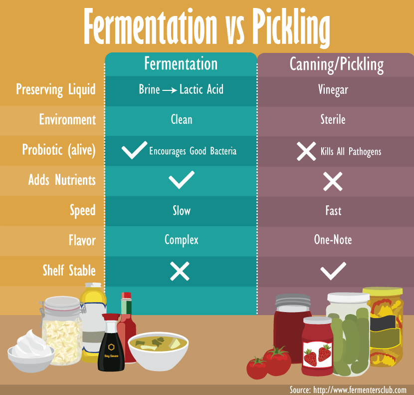 Fermentation vs. Pickling