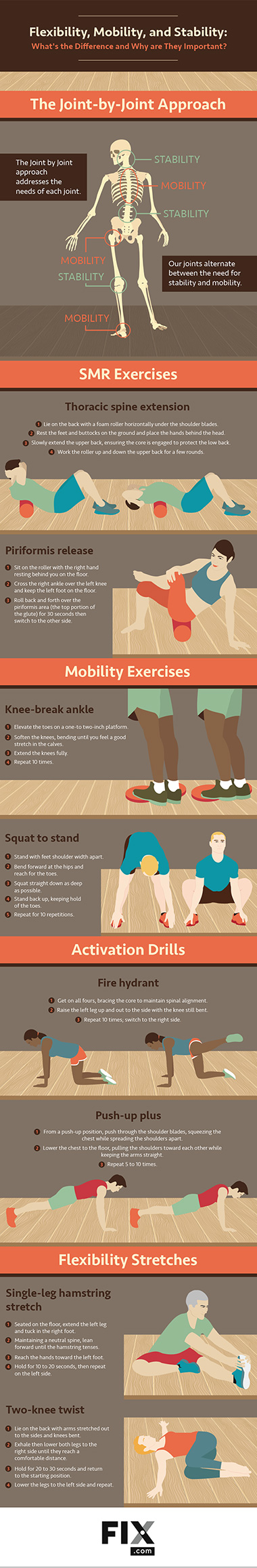 What are two factors that contribute to knee stability?