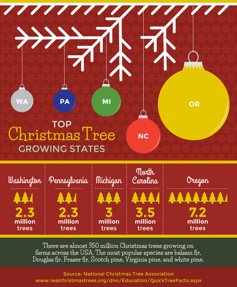 Green Living Christmas: Top Christmas Tree Growing States
