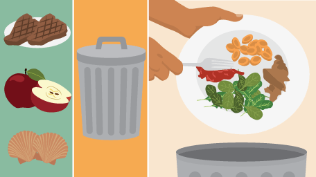 Understanding Food Waste