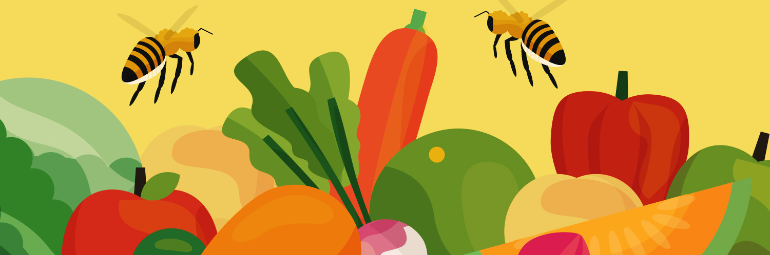 More Than Honey: Honeybees and Our Food System