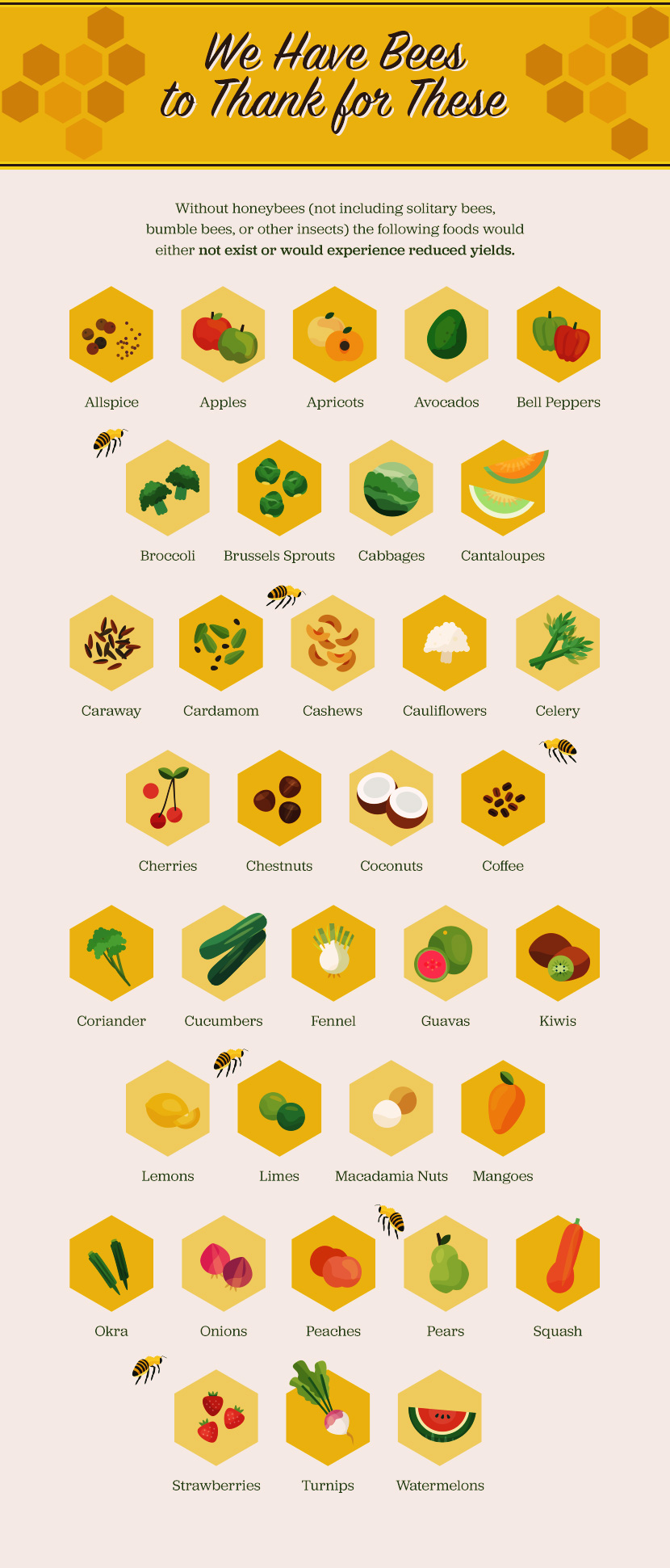 The Importance of Bees: Foods That Bees Make