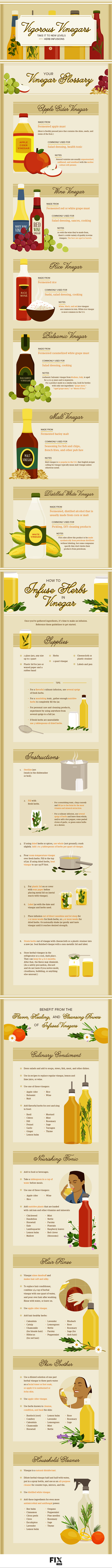 Vigorous Vinegars: Take it to New Levels with Herb Infusions