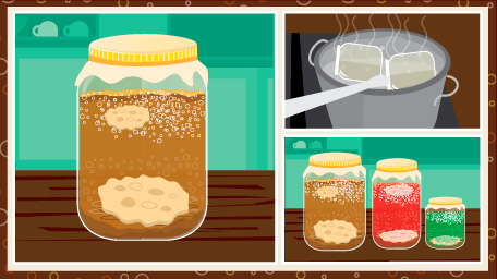 Kombucha