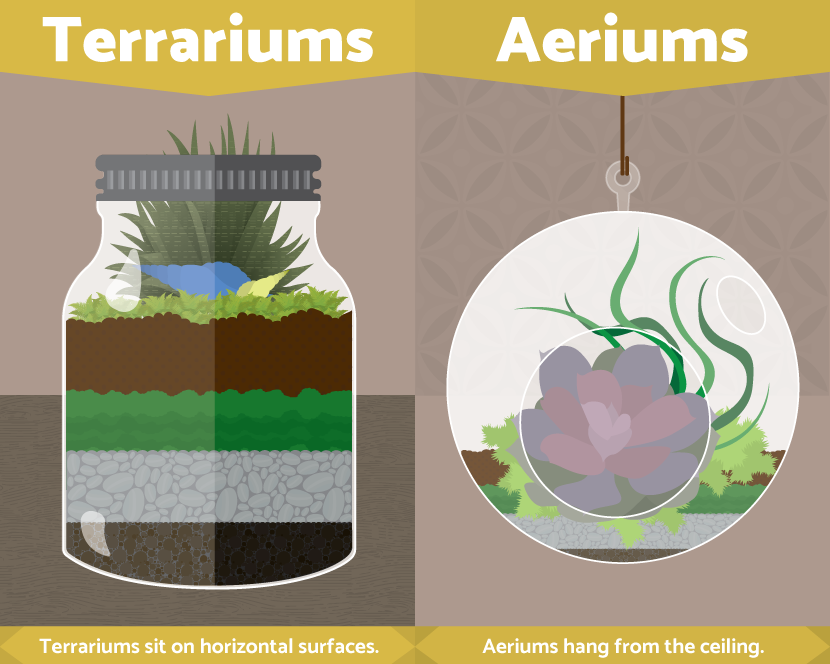 Terrariums or Aeriums
