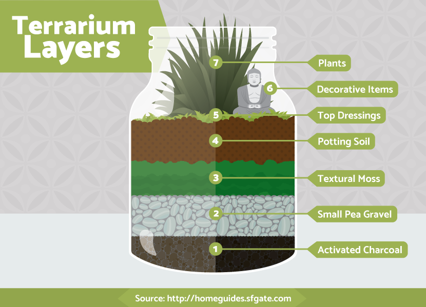 Terrariums: The Different Layers