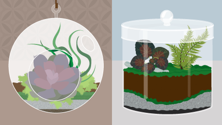 Terrariums