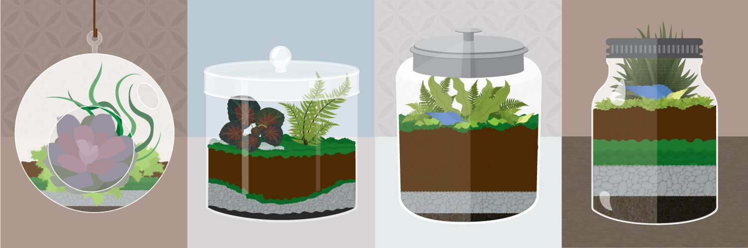 Terrariums