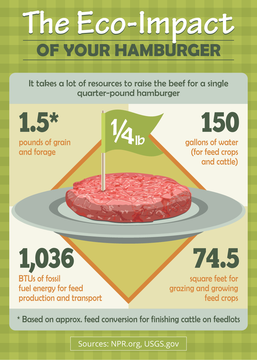 Green Diet Resolutions: The Ecological Impact of Beef