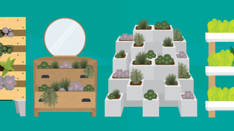 Partitioning with Plants