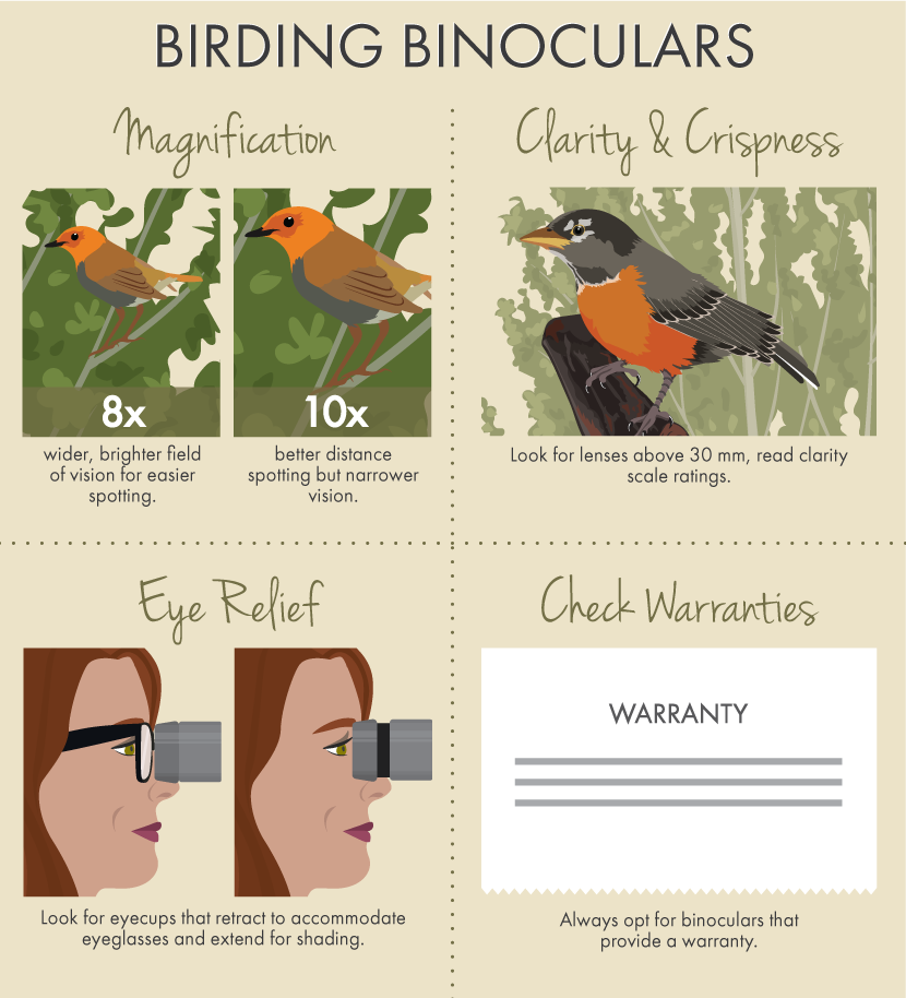 Birding Binoculars Buying Guide
