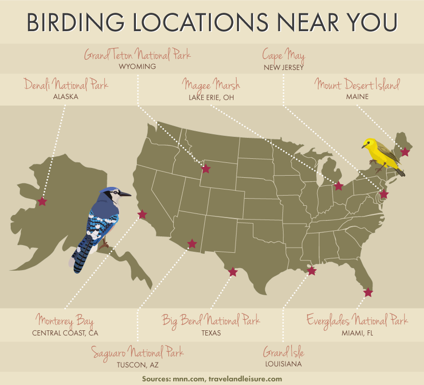 Birding Locations Near You