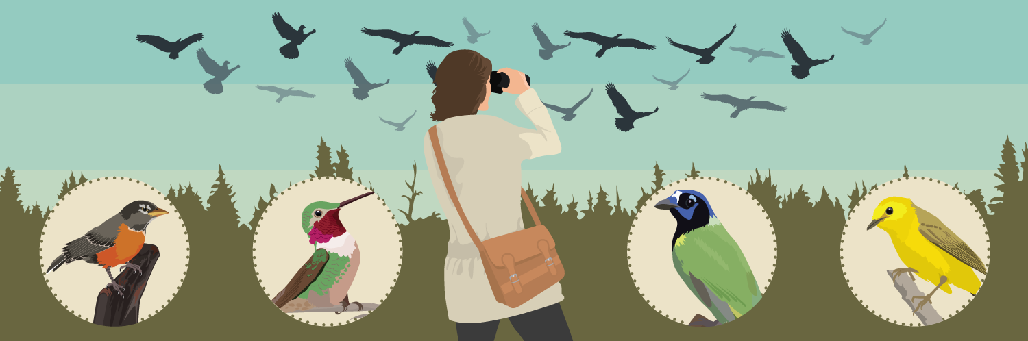Birding: Migrating to Birding Locations This Year