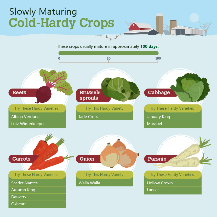 Slowly Maturing Crops